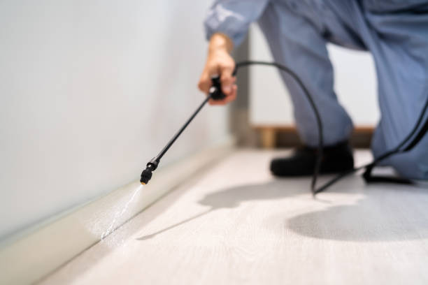 Certified termite inspector examining foundation in Brush Prairie